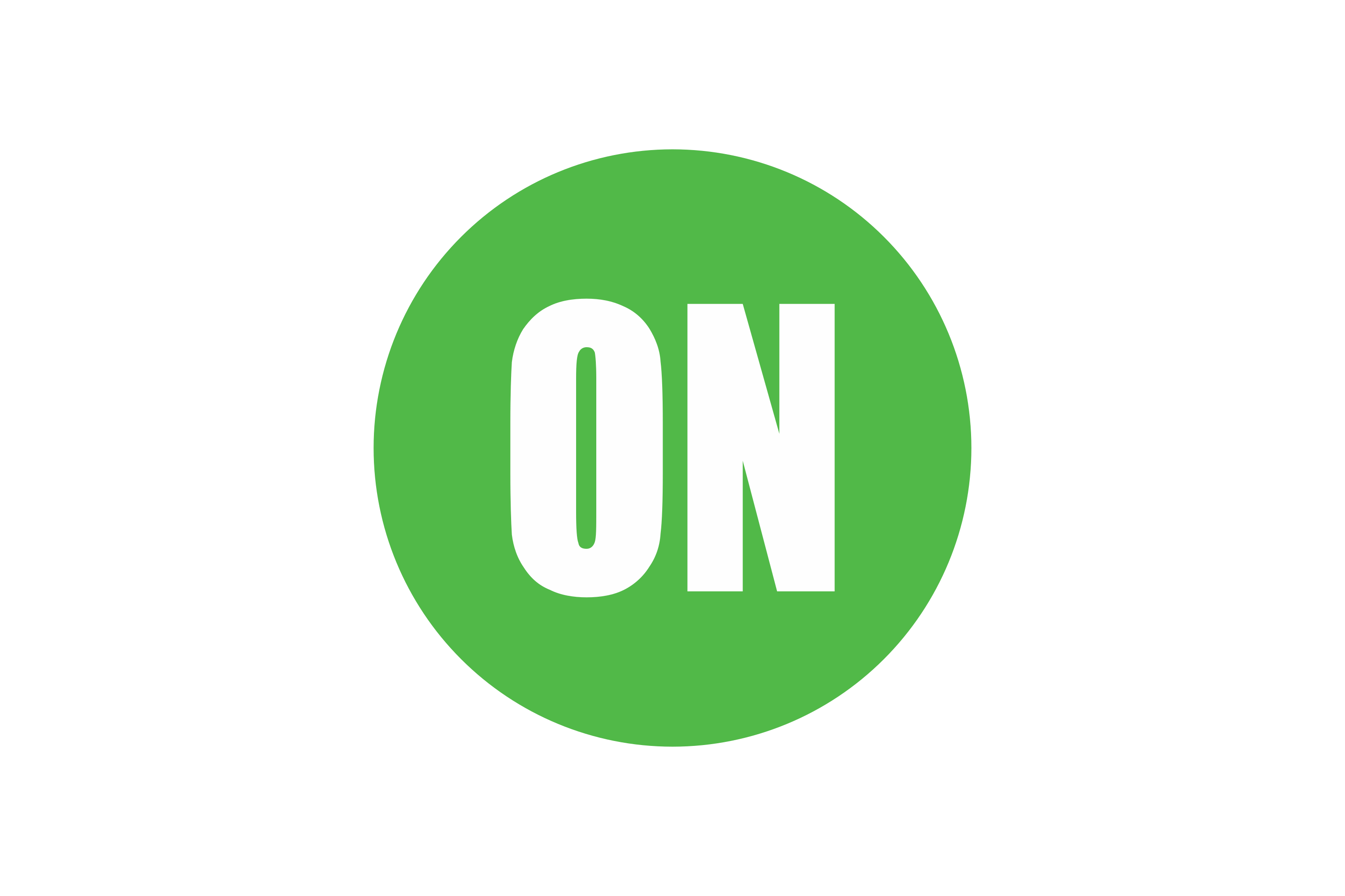 Partner 11
